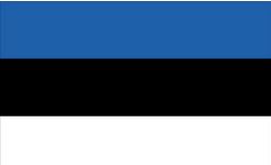 Estonian Flag 2