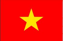 Vietnam Flag 2